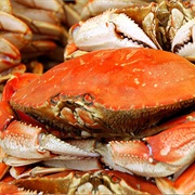 Dungeness Crab