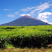 Kerinci Seblat National Park