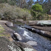 Warra National Park (NSW)