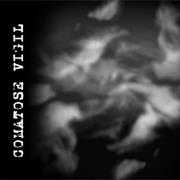 Comatose Vigil - Not a Gleam of Hope