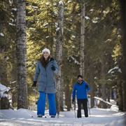 Prince Alberta NP Ski Trails