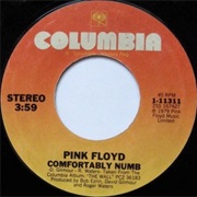 Comfortably Numb - Pink Ffloyd