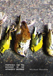 Proposals for the Recovery of the Drowned (Michael Sheehan)