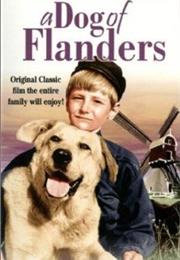 A Dog of Flanders - Spike the Dog
