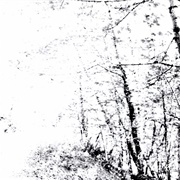 Agalloch - The White EP