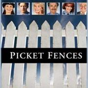 Picket Fences (1993, 1994)