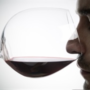 Smelled Wine Before You Drank It