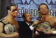 Sting & Lex Luger