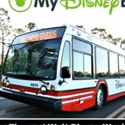 Take Disney Bus to Disney Parks