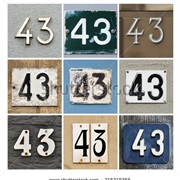 Forty-Three