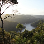 Berowra Valley National Park (NSW)