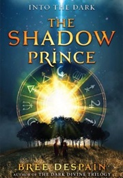 Into the Dark Book 1: The Shadow Prince (Bree Despain)