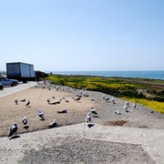 Camp Pendleton South, California
