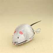 Mouse