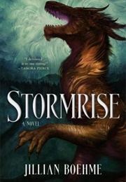 Stormrise (Jillian Boehme)