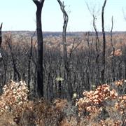 Wiltshire Butler National Park (WA)