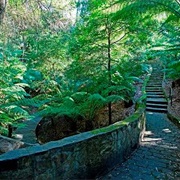 Australian National Botanic Gardens