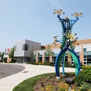 Discovery Center Museum (Rockford, IL)