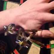 Deal With a Dart Injury