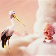 Storks