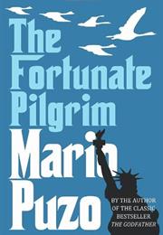 The Fortunate Pilgrim