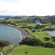 Tawharanui Campground