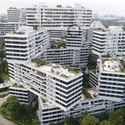 The Interlace