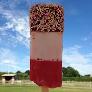 Fab Ice Lollies