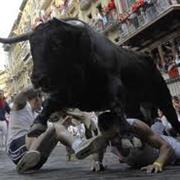 Run With the Bulls