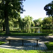 MIT, Boston (Good Will Hunting)