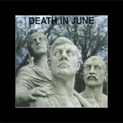 Death in June-  Fields