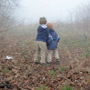 Go for a Walk in the Fog