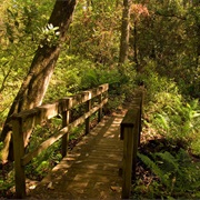 Gold Head Branch State Park, Florida