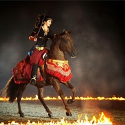 Watch an Equestrian Show