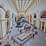 The Field Museum of Natural History (Chicago, IL)
