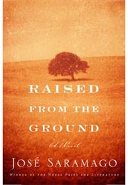 Levantado Do Chao 1980/ Raised From the Ground 2012