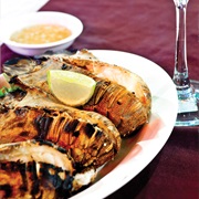 Caribbean Spiny Lobster (Panulirus Argus)