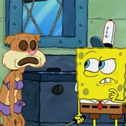 Someone's in the Kitchen With Sandy