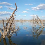 Ngami Lake, Botswana