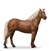 Quarter Pony - Flaxen Chestnut