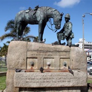 Horse Memorial, Port Elizabeth