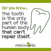 The Tooth Is the Only Part of the Body That Can't Repair Itself.
