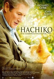 Hachi