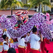 Hindu & Creole Festivals of Mauritius