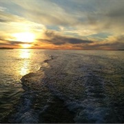 Culatra Island, Portugal