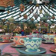 Mad Hatter's Tea Cups