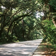 Tomoka State Park, Florida