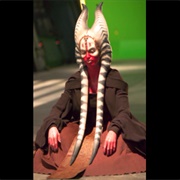 Shaak Ti