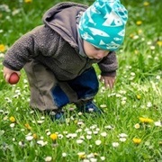 Hunting for Easter Eggs