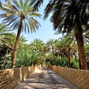 Al Ain, UAE